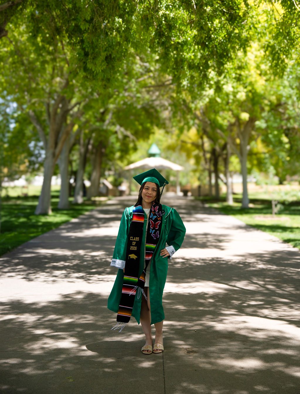 Senior graduation photography in Las Vegas — graduate on a tree-lined campus path